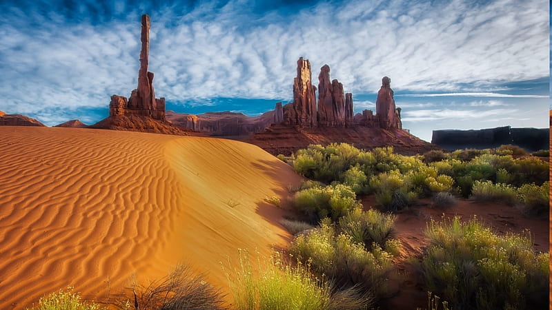 beautiful desert in arizona r, rocks, desert, dunes, monuments, r, shrubs, sky, HD wallpaper