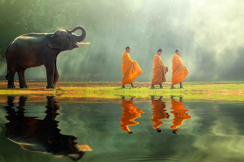 Yoga and Culture Retreat in Cambodia, Buddha Elephant, HD wallpaper