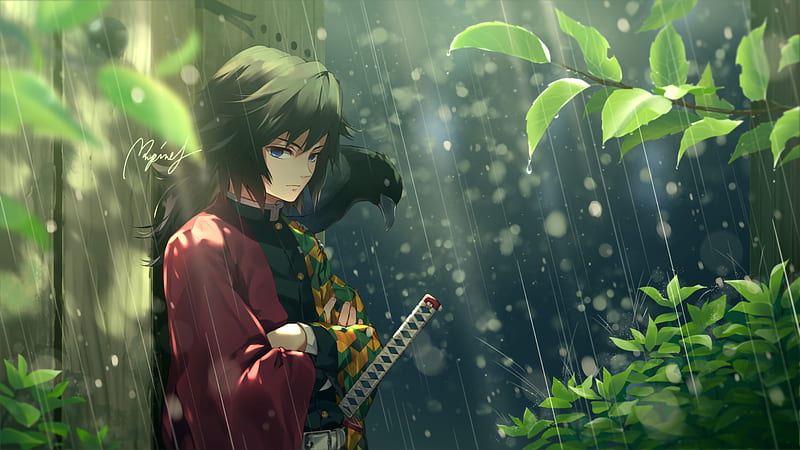 Demon Slayer Giyuu Tomioka Standing On Rain Around Plants Anime, HD wallpaper