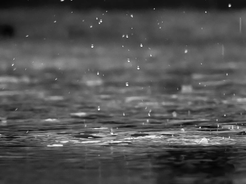 grayscale graphy of raindrops, HD wallpaper