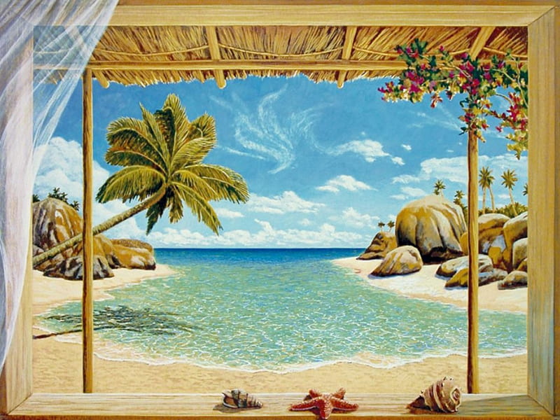 Lookout to the Beach, rocks, window, palm, artwork, starfish, sea, HD wallpaper