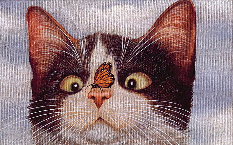 Who are you ?, cat, butterfly, head, cross-eyed, HD wallpaper