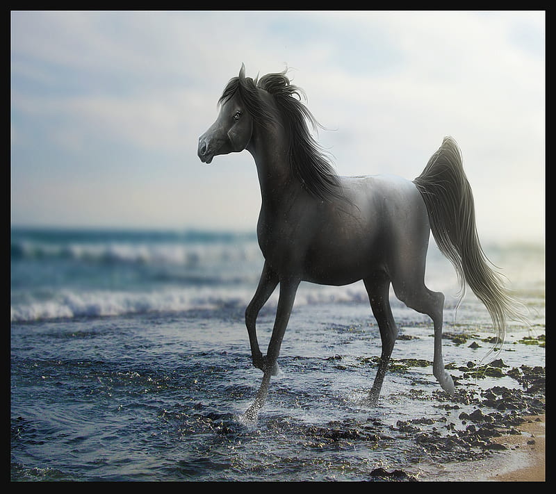 Awesome Horse, HD wallpaper | Peakpx
