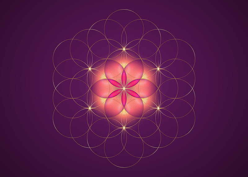 Seed of life symbol Sacred Geometry. Gold Logo icon Geometric mystic mandala of alchemy esoteric pink Flower of Life. Interlaced circles, vector divine meditative amulet isolated on purple background 6327288 Vector Art, HD wallpaper