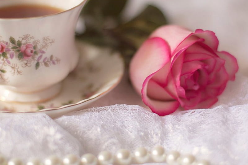 Rose, pearl, teatime, pink, HD wallpaper