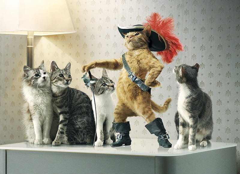 Puss-in-boots, puss, in, movie, boots, cat, HD wallpaper