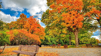 Mùa thu: Mùa thu là khoảng thời gian đẹp nhất trong năm với những cảnh sắc rực rỡ và thơ mộng. Bức ảnh liên quan đến mùa thu sẽ đưa bạn đến những cung đường đầy màu sắc và tràn đầy cảm hứng.