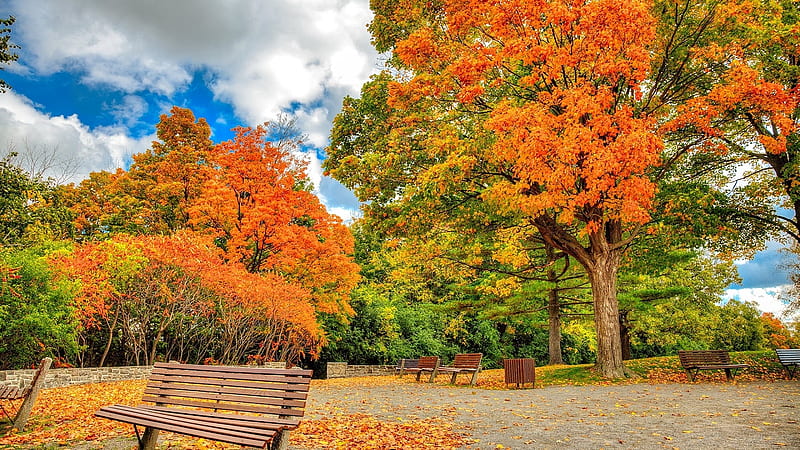 Mùa thu là thời điểm tuyệt vời để chiêm ngưỡng cây cối tràn ngập màu sắc đầy sức sống trong công viên. Những hình ảnh tuyệt đẹp và sống động của thiên nhiên tại đây sẽ mang lại cho bạn cảm giác thư giãn và tươi mới. Hãy xem ảnh và sẵn sàng cho một chuyến đi đến công viên nào!