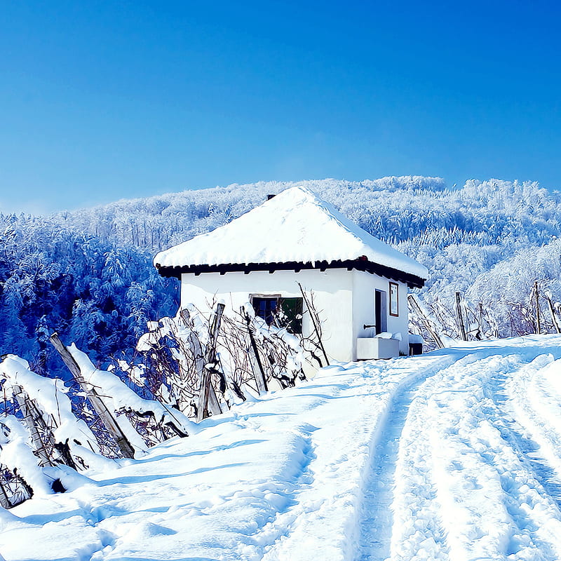 Snow 2014 best, cool, nature, premium, white, HD phone wallpaper