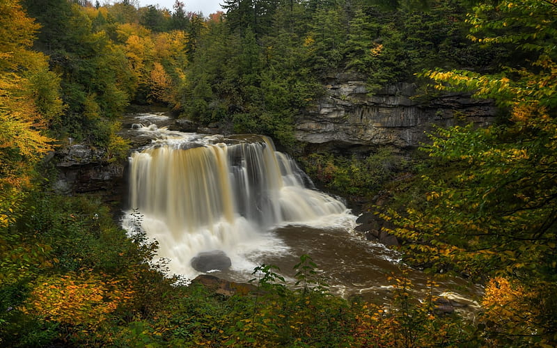 waterfall, autumn, mountain river, forest, yellow trees, beautiful waterfalls, HD wallpaper