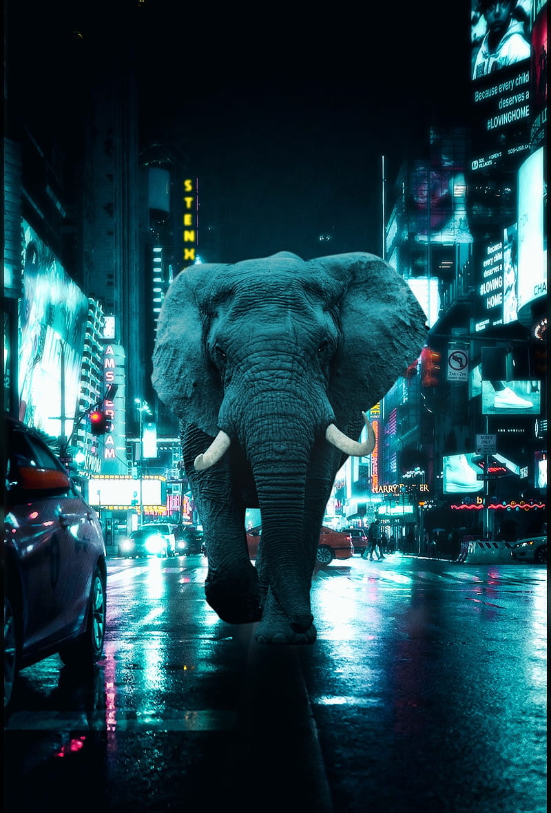 Elephant in a city, animals, art, cyberpunk, elephants, flag, life, neon city, night city, wild, HD phone wallpaper