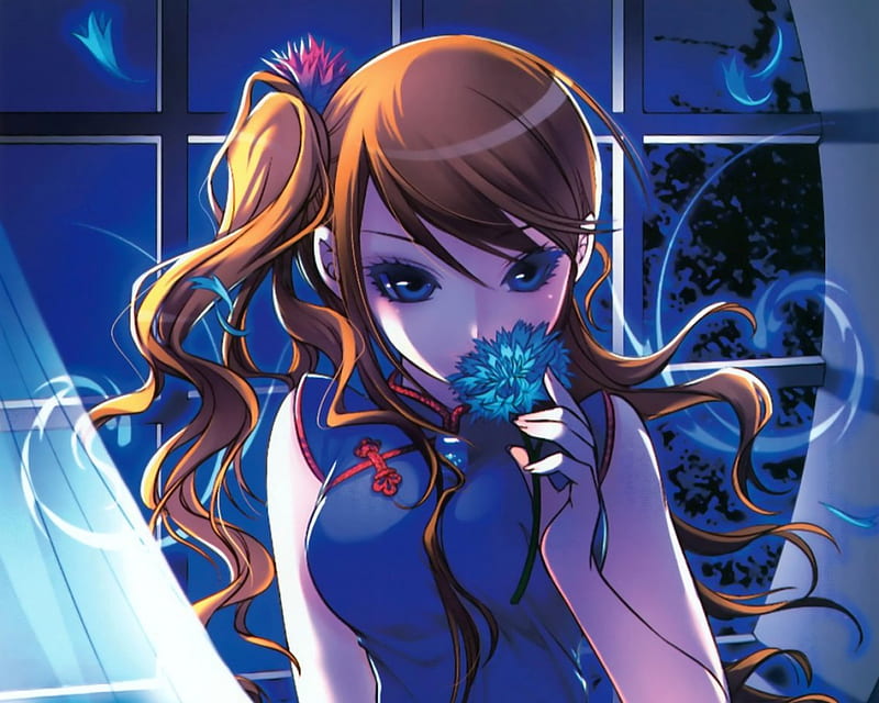 Shappire, pretty, sweet, floral, nice, anime, beauty, anime girl, long hair, lovely, amour, sexy, cute, oriental, chinese, maiden, divine, adore, bonito, sublime, elegant, blossom, hot, blue eyes, blue, gorgeous, night, female, window, brown hair, girl, flower, petals, lady, HD wallpaper
