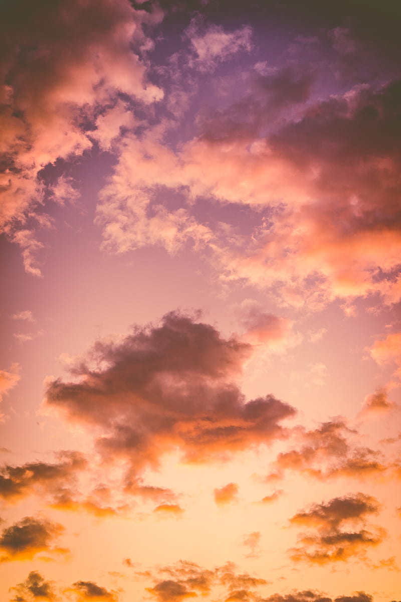 of cumulus clouds during golden hour, HD phone wallpaper