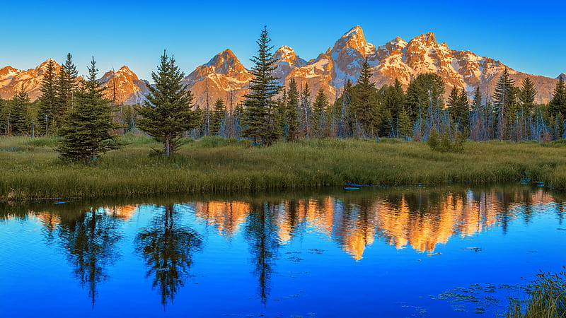 Landscape View Of Mountain And Trees With Reflection On River In Grand Teton National Park Nature, HD wallpaper