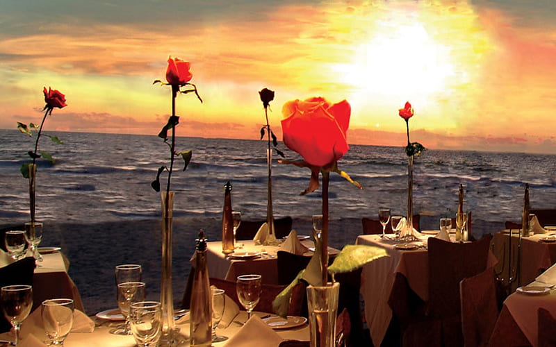 Ann Maria Island, Water, Romace, Red Roses, Table For Two, Ann Maria, Sunsets, Island, HD wallpaper