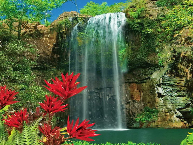 Exotic waterfall, fall, rocks, colorful, grass, bonito, corner, leaves, nice, waterfall, flowers, exotic, lovely, greenery, place, emerald, sky, wall, water, plants, nature, HD wallpaper
