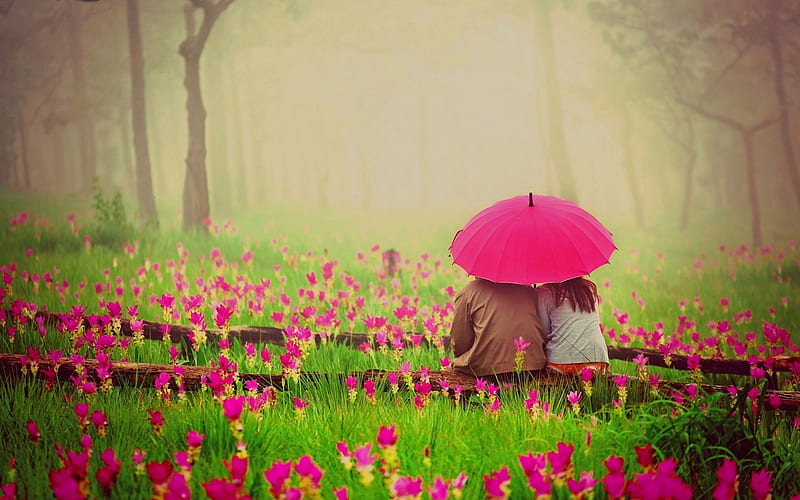 ❤️, Romance, Meadow, Love, Couple, Flowers, Park, HD wallpaper