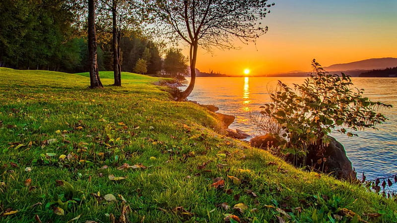 beautiful river sunset, shore, grass, river, sunset, trees, HD wallpaper