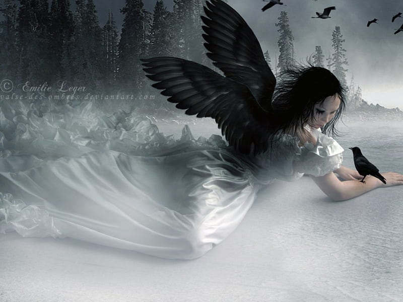Fallen, wing, woman, manipulation, night, art, forest, wings, angel, birds, black, trees, mist, bird, snow, dark, digital, white, HD wallpaper