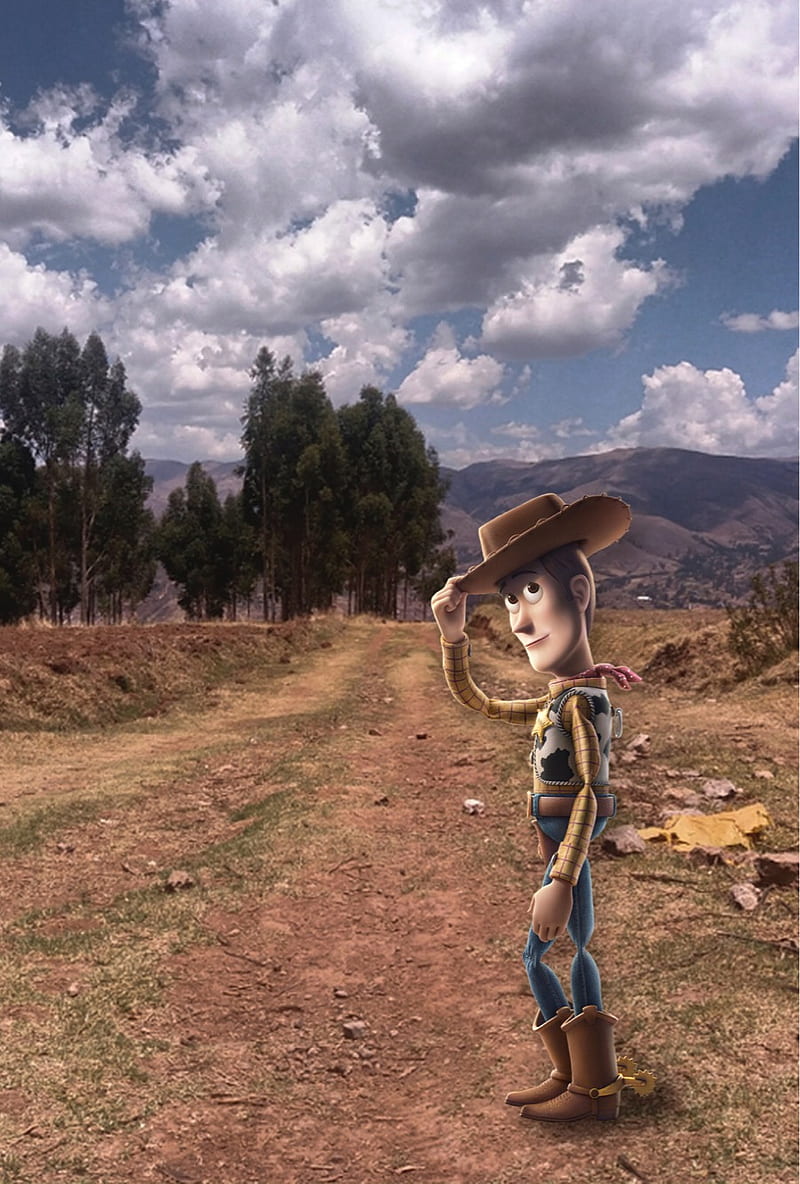 Farewell Woody, toy story, disney, goodbye, pixar, cartoon, animation, movie, poster, childhood, cowboy, HD phone wallpaper