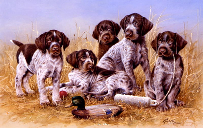 Dogs, by Jim Killen, art, hunting, jim killen, labrador, painting, dog, HD wallpaper