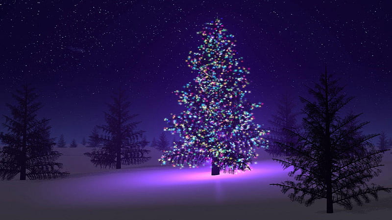 Christmas Tree with Light Decorations, HD wallpaper