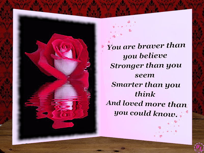Red Rose Card with Quote #2, Red, Rose Reflection, Friendship, No Text, Card, Rose, Blank Card, Nature, Open Card, Reflection, Quote, Greeting Card, Red Rose, Flower, HD wallpaper