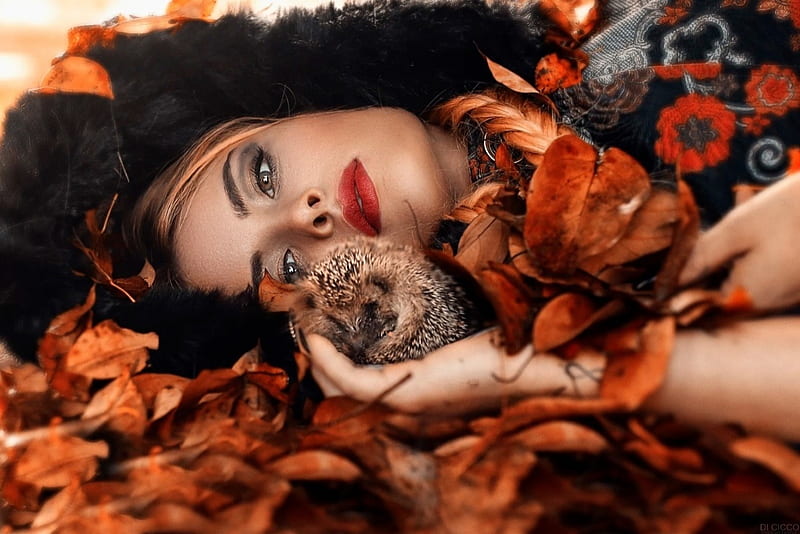 Beauty, arici, face, leaf, autumn, alessandro di cicco, orange, model, toamna, woman, hedgehog, girl, HD wallpaper