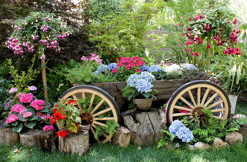 Flowers With A Touch Of Country, fence, rocks, grass, trees, wagon wheels, wheels, tree stumps, wagon, plants, stumps, flowers, HD wallpaper