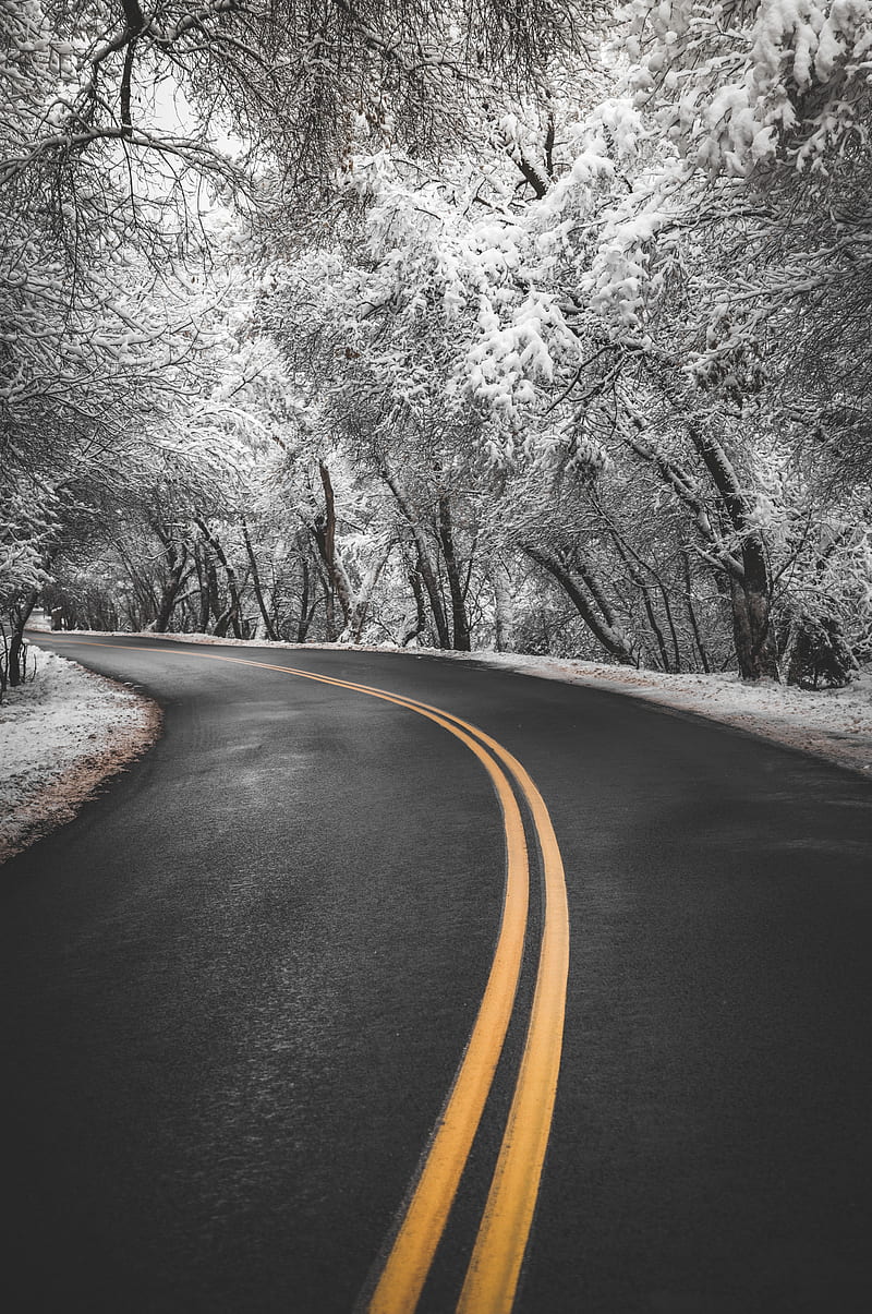 road, turn, asphalt, marking, trees, snow, winter, HD phone wallpaper