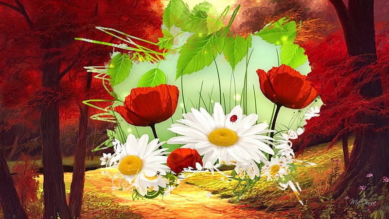 Summer to Autumn, daisies, fall, autumn, poppies, summer, flowers, collage, trees, HD wallpaper