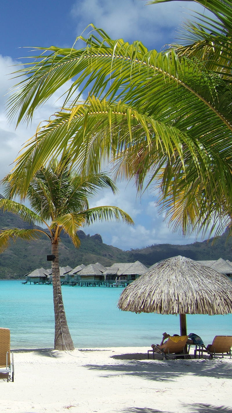 Bora Bora, beach, island, paradise, HD phone wallpaper | Peakpx