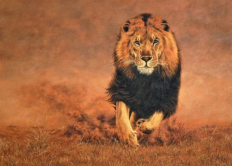Running Lion, king, paint, run, lion, HD wallpaper