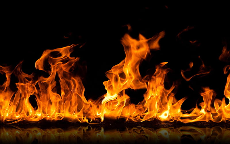 Fire, flame, bonfire, HD wallpaper