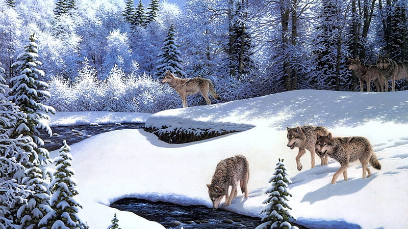 Winter Wolves, pretty, family, bonito, outdoors, spirits, endangered, forrests, wild, painting, beauty, forests, pack, art, hills, trees, winter, lake, water, snow, mountains, nature, native, wolf, wolves, white, HD wallpaper
