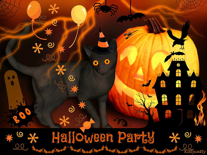 Halloween Party , trick or treat, bats, halloween, pumpkin, party, spiders, animals, halloween party, raven, haunted house, cat, jack-o-lantern, boo, lightning, black cat, balloons, cats, HD wallpaper