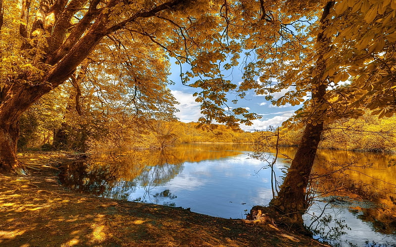 Autumn Lake, trees, autumn, chestnut, lake, calm, HD wallpaper