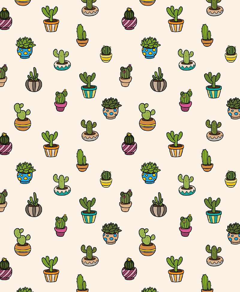 Cactus, desierto, patrones, plants, verde, HD phone wallpaper