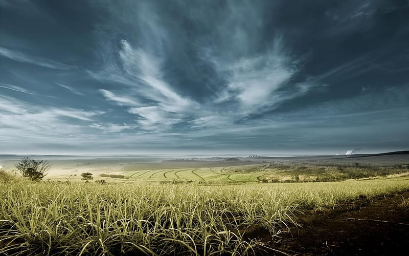 America's Fertile Fields, fields, america, clouds, sky, fertile, landscape, HD wallpaper