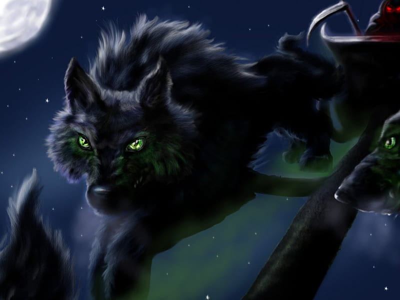 wolf with green eyes, wolf, green eyes, animal, dark, HD wallpaper