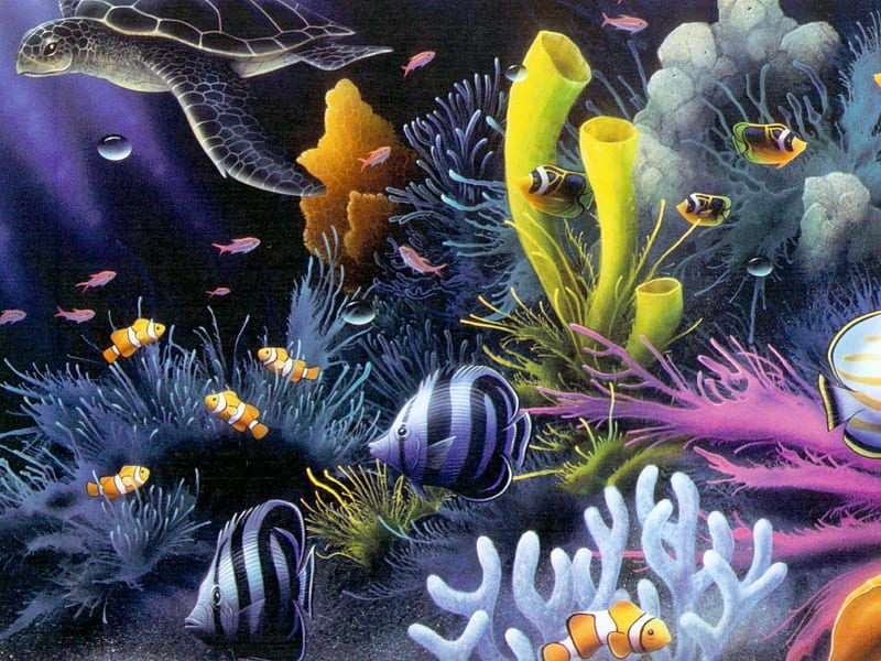 Aquatic Beauty, colour, water, life, fish, HD wallpaper