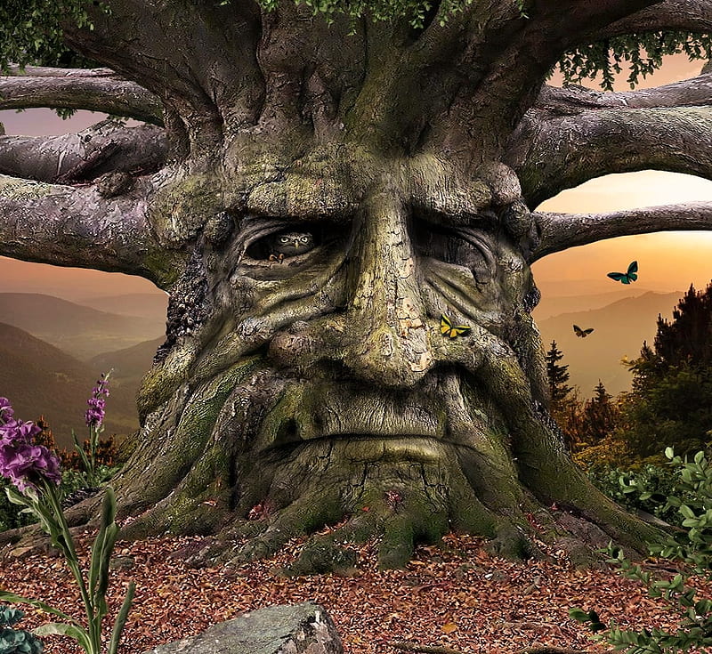 A spirit tree????..'lol', magical, spirit, mystical, tree, HD