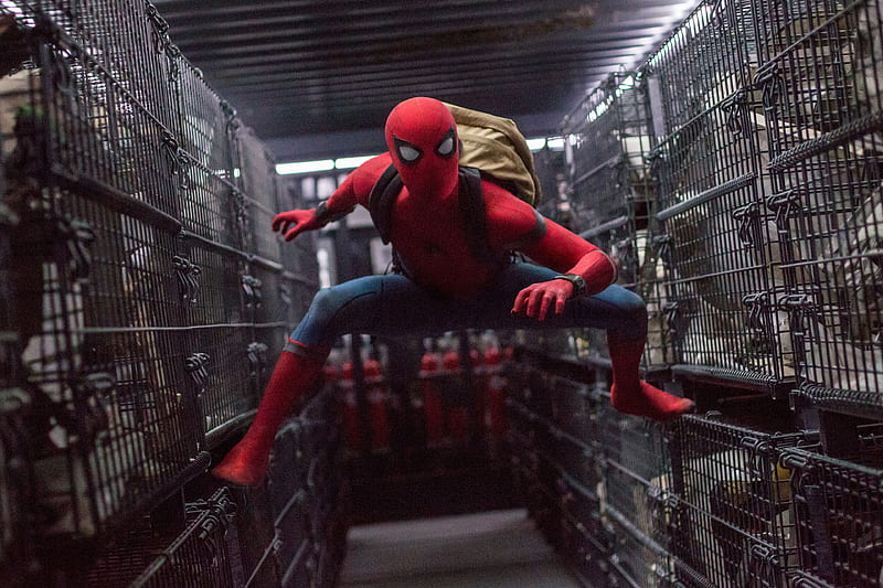 Spider Man Homecoming, spiderman-homecoming, spiderman, 2017-movies, movies, super-heroes, HD wallpaper