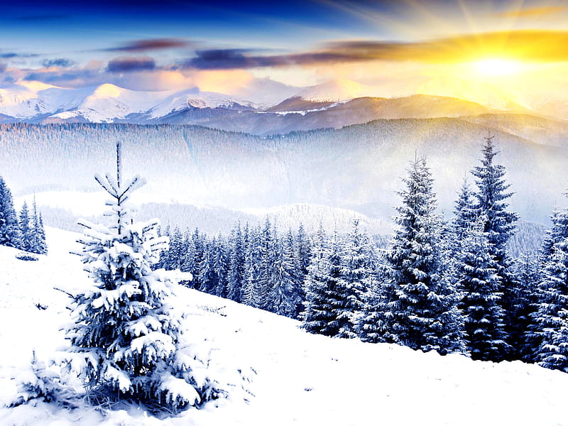 Winter Sun, sun, woods, bonito, sunset, magic, clouds, snowy, splendor, beauty, sunrise, amazing, forest, lovely, view, sunlight, colors, sky, trees, winter, tree, sunrays, rays, snow, mountains, peaceful, nature, white, landscape, HD wallpaper