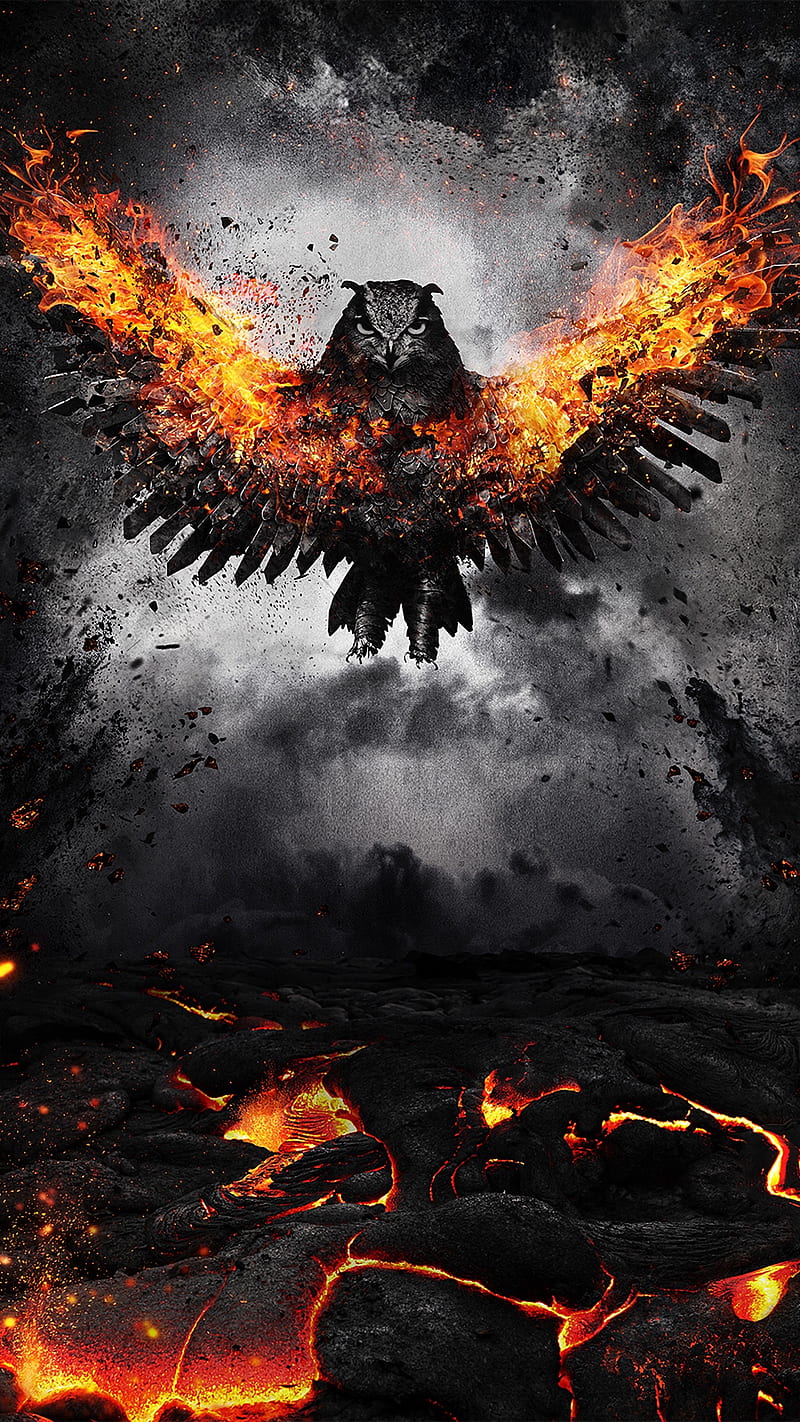 Fire Bird , flap, wings, owl, art, HD phone wallpaper