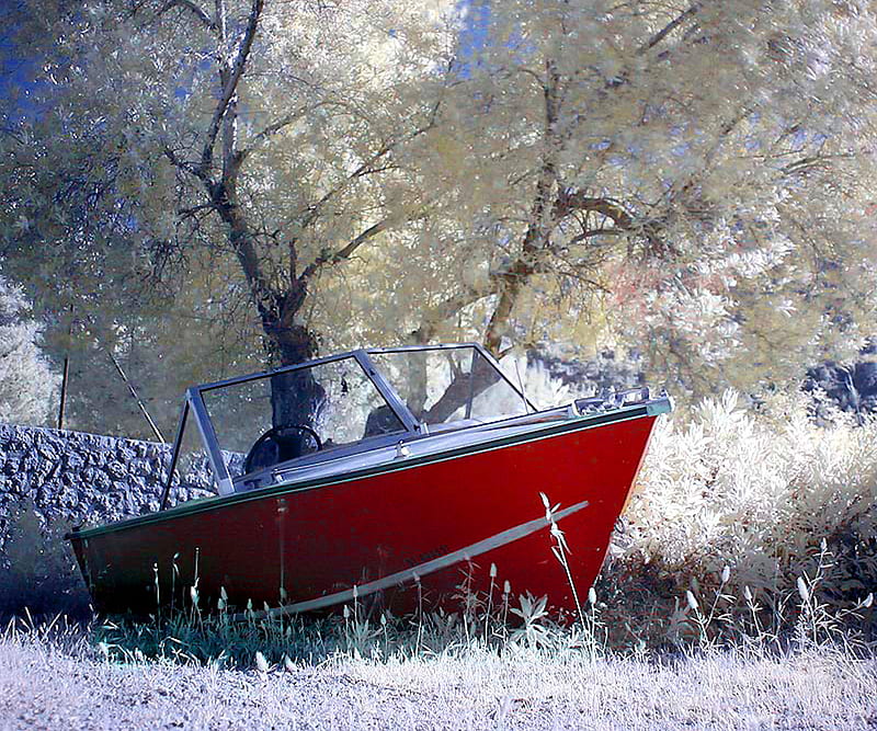 Little Boat, little, boat, trees, snow, HD wallpaper