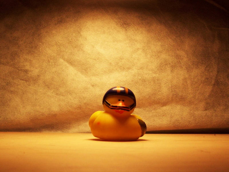 Straight Up Duck, toy, rubber, duck, light, HD wallpaper