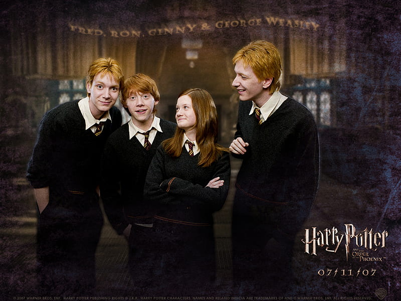 Weasleys Harry Potter, hogwards, ronald weasley, harry potter, ginny weasley, georg weasley, fred weasley, HD wallpaper