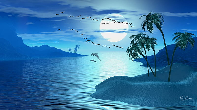 Island Moonlight, dolphins, full moon, moonlight, island, sky, palm trees, sea, HD wallpaper
