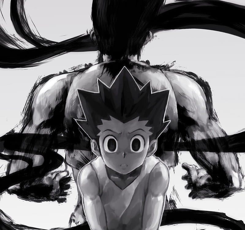 Hunter x Hunter, anime, manga, fight, movie, HD phone wallpaper